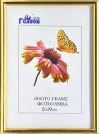 Ф/рамка 21*30 1302A-004C золото закругл