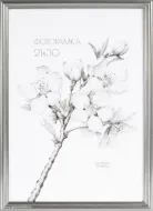 Ф/рамка 21*30 1300А-026Х серебро