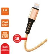 Кабель GoPower GP02L USB (m)-Lightning (m) 1.0м 2.4A нейлон золот