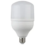 Лампа светод. ЭРА LED smd POWER 30W-4000-E27