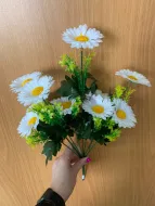 Ромашки малые