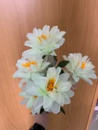 Альстромерия 7 микс