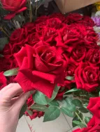 Роза  одиночн. высокая