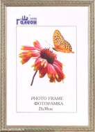 Ф/рамка 21*30 1606C-86R золот-зелен витая 
