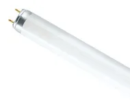Лампа люм. Philips 58W TLD/54-765 G13 дневная