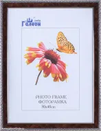 Ф/рамка 30*40 2808C-057X2 корич с сереб рамкой и орнам по краям