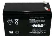 Аккумул. свинцовый CASIL 1290
