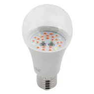 FITO Лампы тип цоколя E27  ЭРА FITO-10W-RB-E27