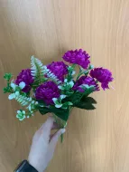 Энотера микс