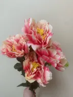 Куст Пионы средние 7 голов микс