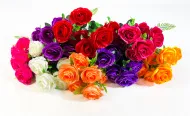 Розы "Фарадей" 7 цветков (20)
