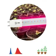 Фитолампа для растений  ЭРА FITO-9W-RB-Т8-G13-NL красно-синего спектра 9 Вт Т8 G13