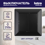 Выключатель Intro Solo 4-104-05 двухклавишный 10А-250В, IP20, СУ, антрацит