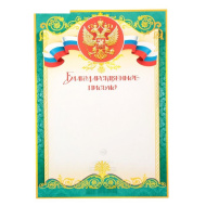 Благодарственное письмо 9-19-101