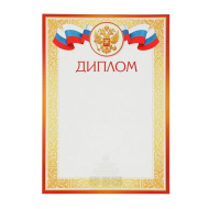 Диплом 9-19-195