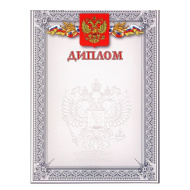 Диплом 3092107