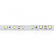 Светодиодная лента SMD 5630, 300 Led, IP33, 12V,19.2 Вт*м Standart (холодный белый 8000K) LEDPremium