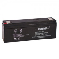 Аккумул. свинцовый CASIL 1222