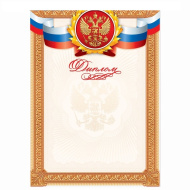 Диплом 3652498