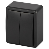 Выкл ЭРА Эксперт 11-1204-05 двойной IP20 10АХ-250В  антрацит