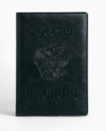 Обложка на паспорт, цвет зеленый 2353117