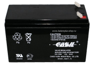 Аккумул. свинцовый CASIL 1290