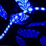 Светодиодная лента SMD 3528, 300 Led, IP33, 12V, 4,8 Вт/м Econom синий LEDPremium 75899