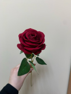 Роза  одиночн. малая