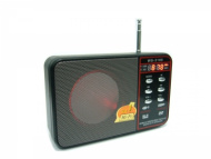 Портативная акустика TDS WS-3166