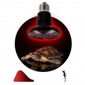 Лампа ЭРА ЭРА FITO-50W-НQ керамическая  для брудера, рептилий