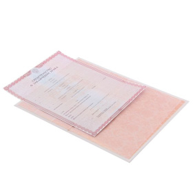 Папка для свидетельства о заключении брака 1181138