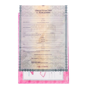 Папка для свидетельства о рождении "Боди кит" 3511766