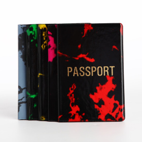 Обложка на паспорт, цвет МИКС 7607682