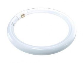 Лампа PHILIPS кольцевая ЛЛ 22Вт TLE 22/33-640 белая