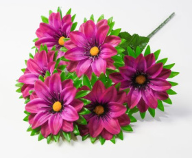 Георгин "Жади" 6 цветков CD124 (40)