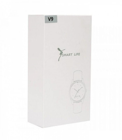 Smart часы Орбита WD-V9 (SIM,TF)