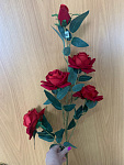 Куст роз длин стеб. 5бут.