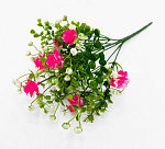 Роза Гия 7 цветков (20)