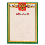 Диплом 3092105